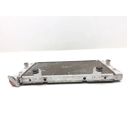 Engine Radiator Cooling 2009 Yamaha Rhino 700 YXR700F 4x4 FI 3021A x 15