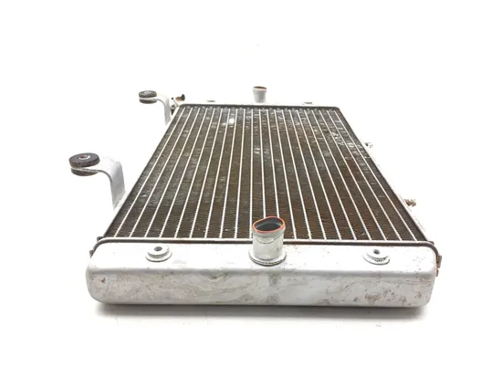 Engine Radiator Cooling 2009 Yamaha Rhino 700 YXR700F 4x4 FI 3021A x