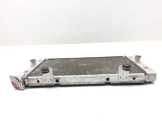 Engine Radiator Cooling 2009 Yamaha Rhino 700 YXR700F 4x4 FI 3021A x