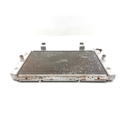 Engine Radiator Cooling 2009 Yamaha Rhino 700 YXR700F 4x4 FI 3021A x 19