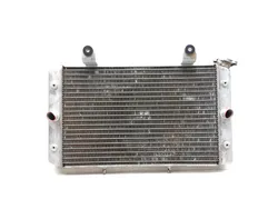 Engine Radiator Cooling 2009 Yamaha Rhino 700 YXR700F 4x4 FI 3021A x