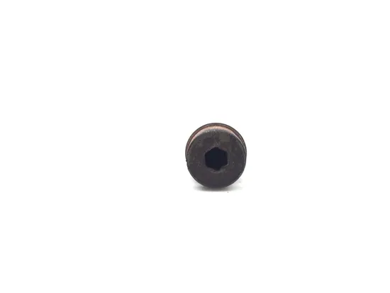 Engine Oil Drain Plug Bolt 2017 Polaris RZR S 900 3025A