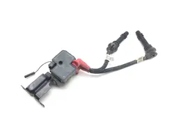 Ignition Coil 2017 Polaris RZR S 900 3025A