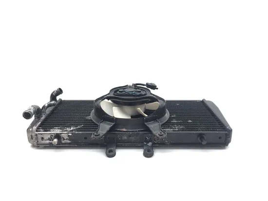 Radiator Cooling Front Fluid with Fan 2000 Triumph Daytona 955i 2912A x