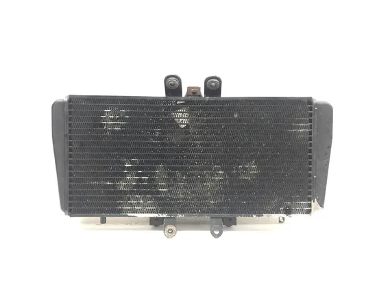 Radiator Cooling Front Fluid with Fan 2000 Triumph Daytona 955i 2912A x