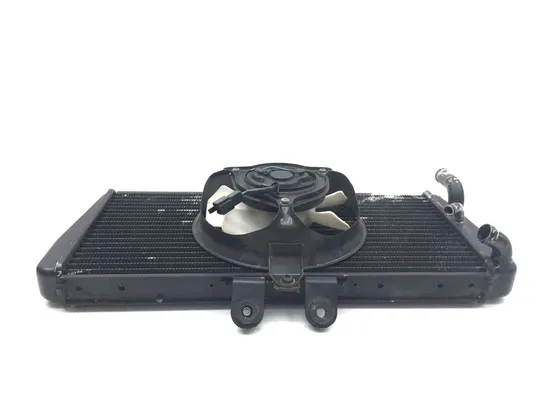 Radiator Cooling Front Fluid with Fan 2000 Triumph Daytona 955i 2912A x