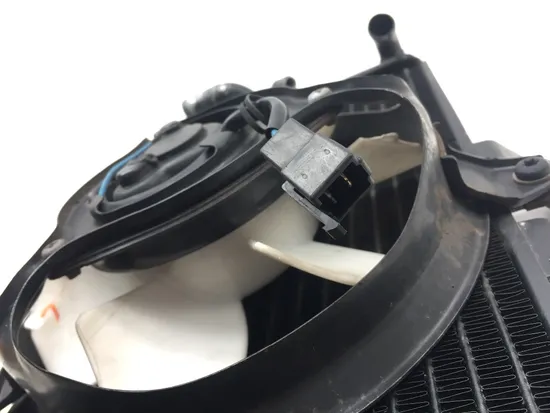 Radiator Cooling Front Fluid with Fan 2000 Triumph Daytona 955i 2912A x