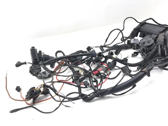 Main Engine Wiring Harness 2001 BMW K1200RS 2971A