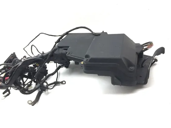 Main Engine Wiring Harness 2001 BMW K1200RS 2971A