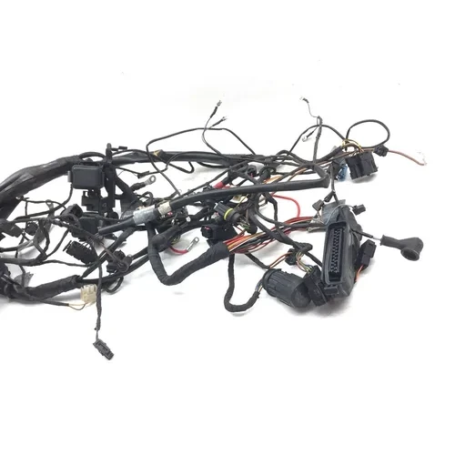 Main Engine Wiring Harness 2001 BMW K1200RS 2971A 7