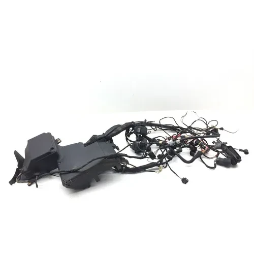 Main Engine Wiring Harness 2001 BMW K1200RS 2971A 3