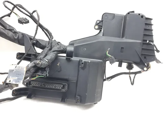 Main Engine Wiring Harness 2001 BMW K1200RS 2971A