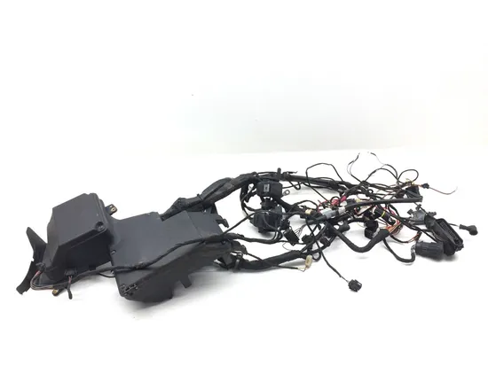 Main Engine Wiring Harness 2001 BMW K1200RS 2971A