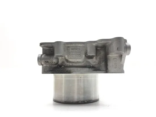 Engine Cylinder Jug W Piston Rear 2009 Can-Am Spyder GS Roadster SE5 3030A