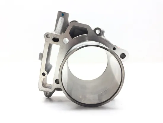 Engine Cylinder Jug W Piston Rear 2009 Can-Am Spyder GS Roadster SE5 3030A