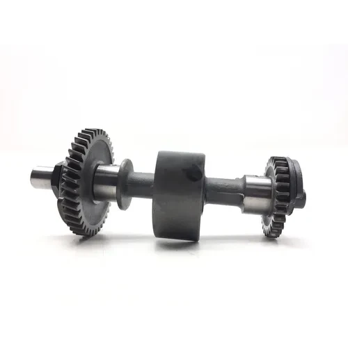 Engine Balancer 2009 Can-Am Spyder GS Roadster SE5 3030A 10