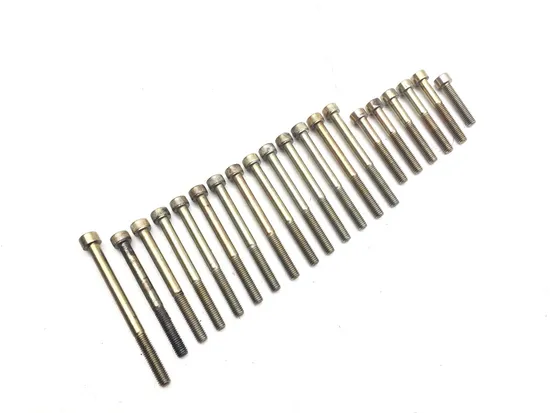 Engine Left Right Center Case Bolts 2009 Can-Am Spyder GS Roadster SE5 3030A