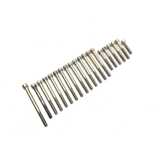 Engine Left Right Center Case Bolts 2009 Can-Am Spyder GS Roadster SE5 3030A 3