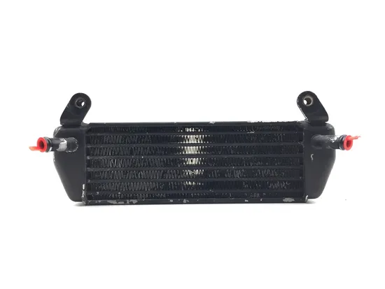 Engine Oil Cooler with Lines 2006 BMW R1200GS ABS 3032A
