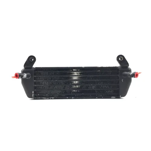Engine Oil Cooler with Lines 2006 BMW R1200GS ABS 3032A 11