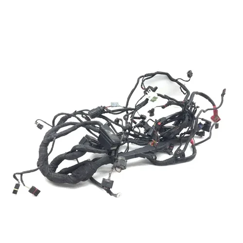 Main Engine Wiring Harness 2006 BMW R1200GS ABS 3032A 12