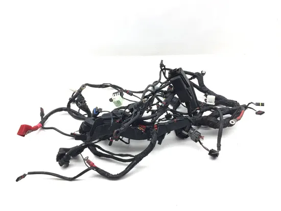 Main Engine Wiring Harness 2006 BMW R1200GS ABS 3032A