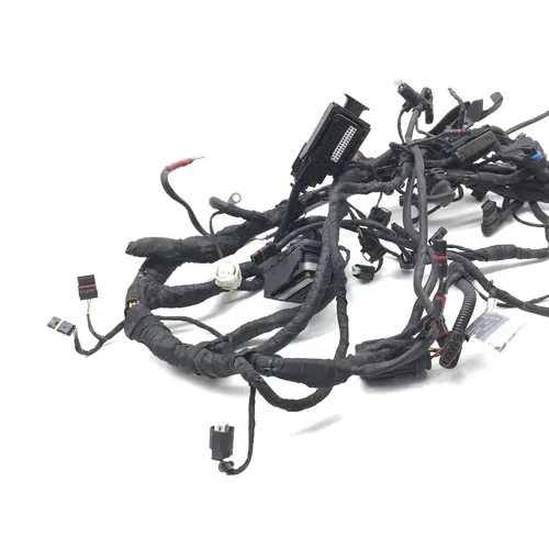 Main Engine Wiring Harness 2006 BMW R1200GS ABS 3032A 9