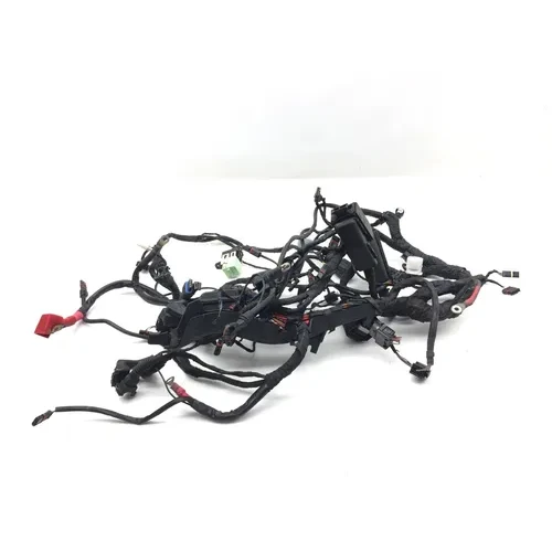 Main Engine Wiring Harness 2006 BMW R1200GS ABS 3032A 3