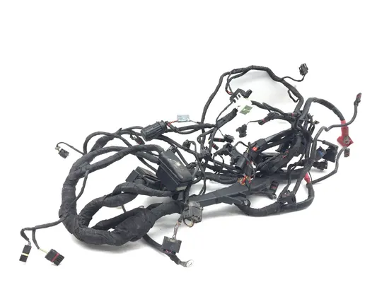 Main Engine Wiring Harness 2006 BMW R1200GS ABS 3032A