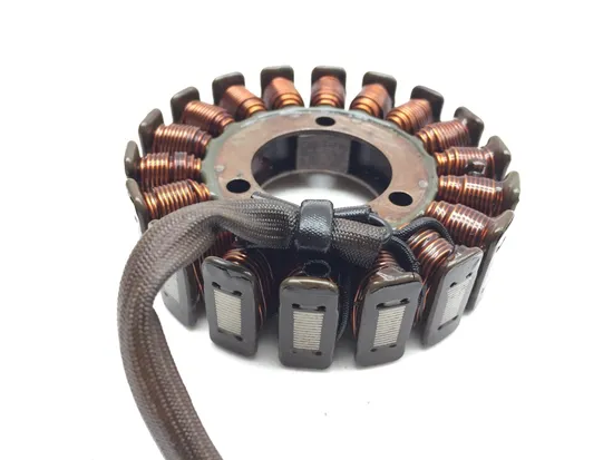 Engine Stator Generator 2006 Suzuki GS500F 2937A
