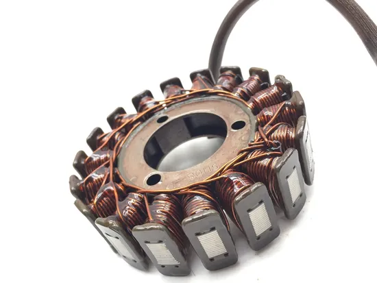 Engine Stator Generator 2006 Suzuki GS500F 2937A