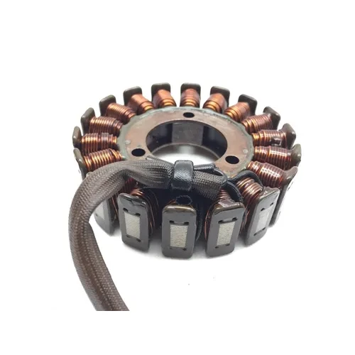 Engine Stator Generator 2006 Suzuki GS500F 2937A 9