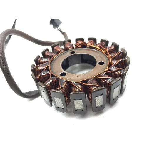 Engine Stator Generator 2006 Suzuki GS500F 2937A 13