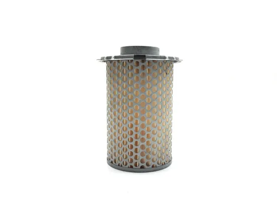 Air Filter 2006 Suzuki GS500F 2937A