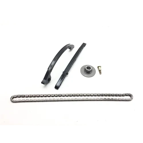 Engine Timing Chain and Guides 2006 Suzuki Burgman 650 AN650 3001A 8