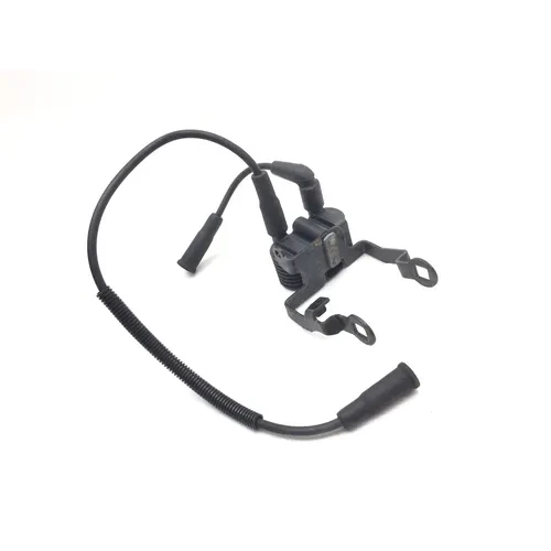 Ignition Coil Set 2007 Harley-Davidson Sportster 1200 Custom XL1200C 3035 3