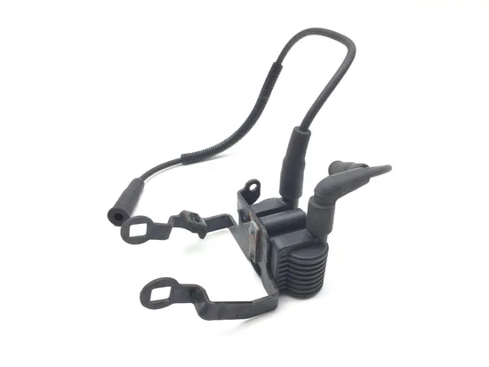 Ignition Coil Set 2007 Harley-Davidson Sportster 1200 Custom XL1200C 3035