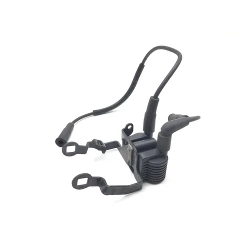 Ignition Coil Set 2007 Harley-Davidson Sportster 1200 Custom XL1200C 3035 5