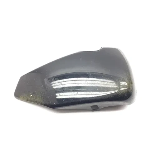Right Side Cover 2007 Harley-Davidson Sportster 1200 Custom XL1200C 3035 x 3