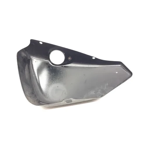 Right Side Cover 2007 Harley-Davidson Sportster 1200 Custom XL1200C 3035 x 12