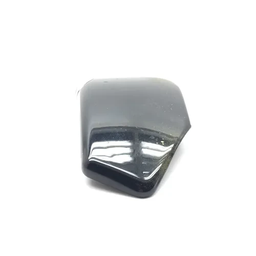 Right Side Cover 2007 Harley-Davidson Sportster 1200 Custom XL1200C 3035 x 9