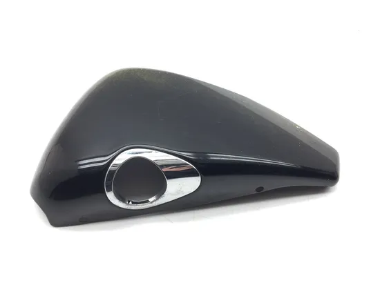 Right Side Cover 2007 Harley-Davidson Sportster 1200 Custom XL1200C 3035 x