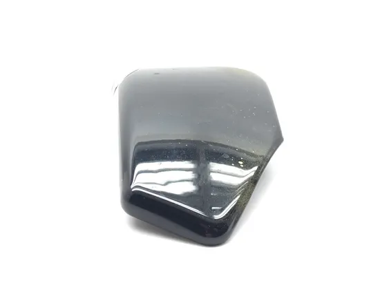 Right Side Cover 2007 Harley-Davidson Sportster 1200 Custom XL1200C 3035 x