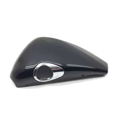 Right Side Cover 2007 Harley-Davidson Sportster 1200 Custom XL1200C 3035 x 7