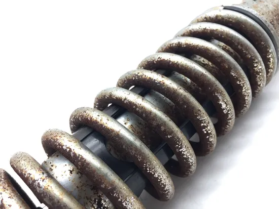 Rear Shocks Suspension 2007 Harley-Davidson Sportster 1200 Custom XL1200C 3035 x