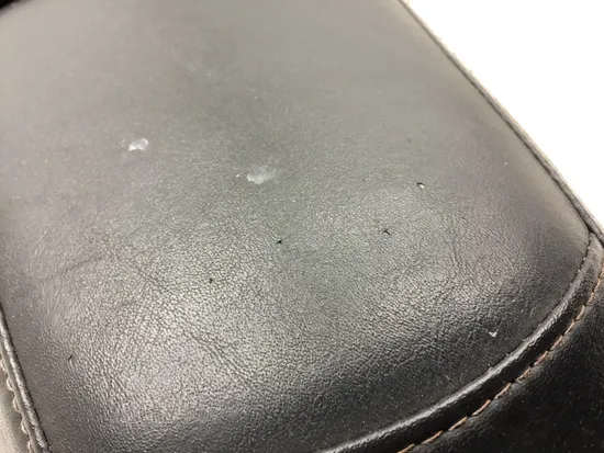 Seat 2007 Harley-Davidson Sportster 1200 Custom XL1200C 3035 x