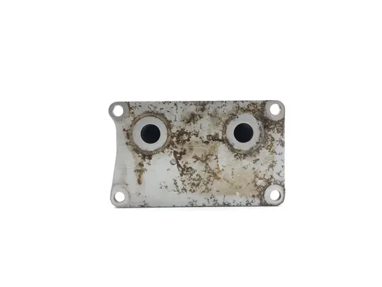 Engine Oil Cooler 2018 Polaris RZR XP 1000 Trails and Rock Edition EPS 3059 7