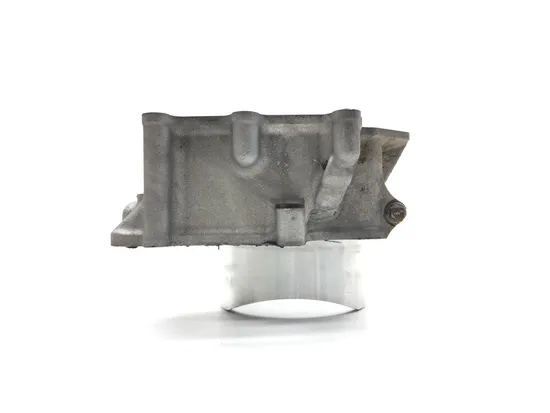 Engine Cylinder Jug W Piston Rear 2014 Kawasaki Teryx4 800 LE FI 3061 PARTS 11