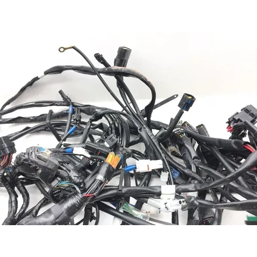 Main Engine Wiring Harness Yamaha Wolverine RMAX4 1000 YXF10 R-Spec 3080 16