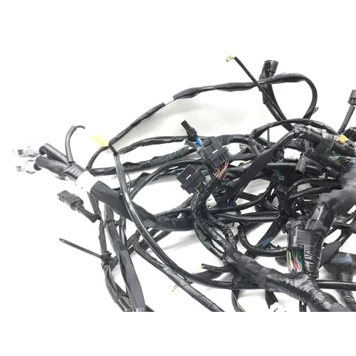 Main Engine Wiring Harness Yamaha Wolverine RMAX4 1000 YXF10 R-Spec 3080 13